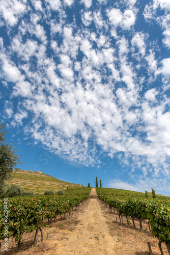 pięknie zachmurzone niebo nad droga biegnącą przez winie w Portugalii