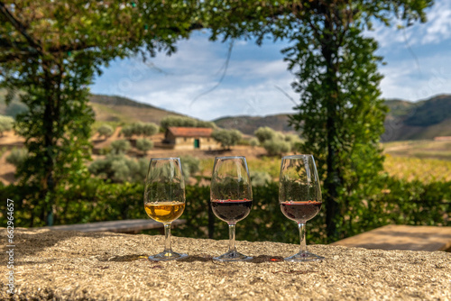 degustacja wina. 3 kieliszki naramiennym stole a tle widok na przepiękną winnicę