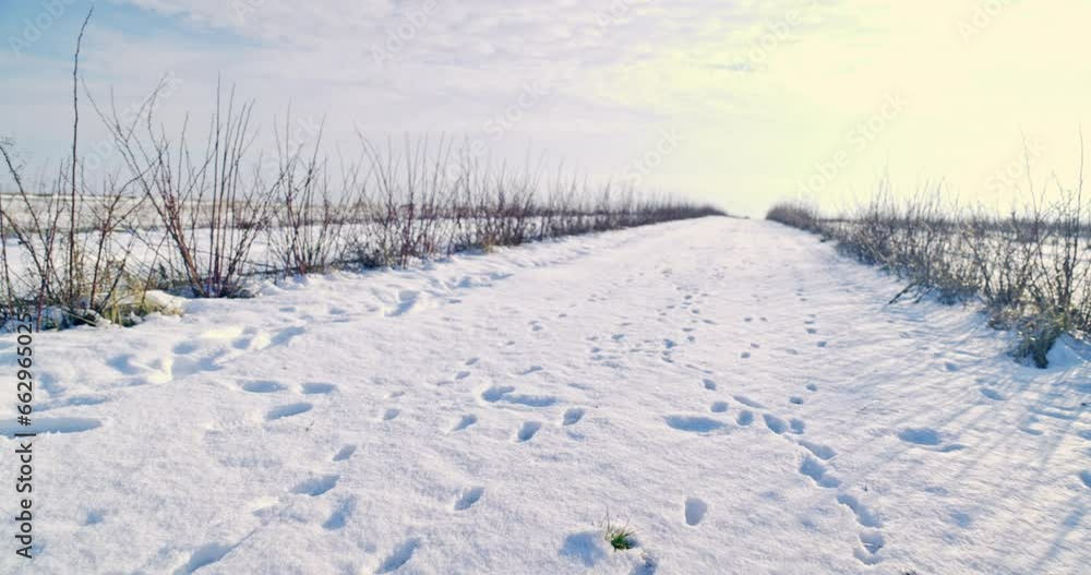 Observation of the natural winter landscape on a clear day. Observation of the natural winter landscape on a clear day.
