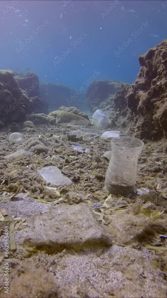 Vertical video, Plastic pollution and other garbage have accumulated ...