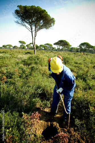 Operator working in a forest in the process of reforestation