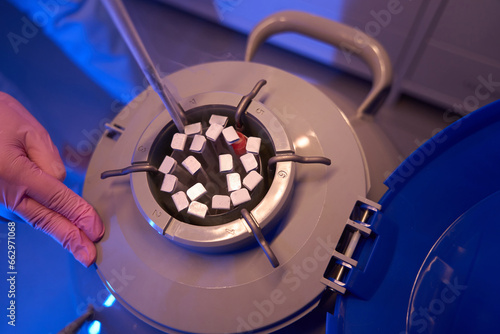 Fotografija Scientist placing biological specimens into cryogenic container for preservation