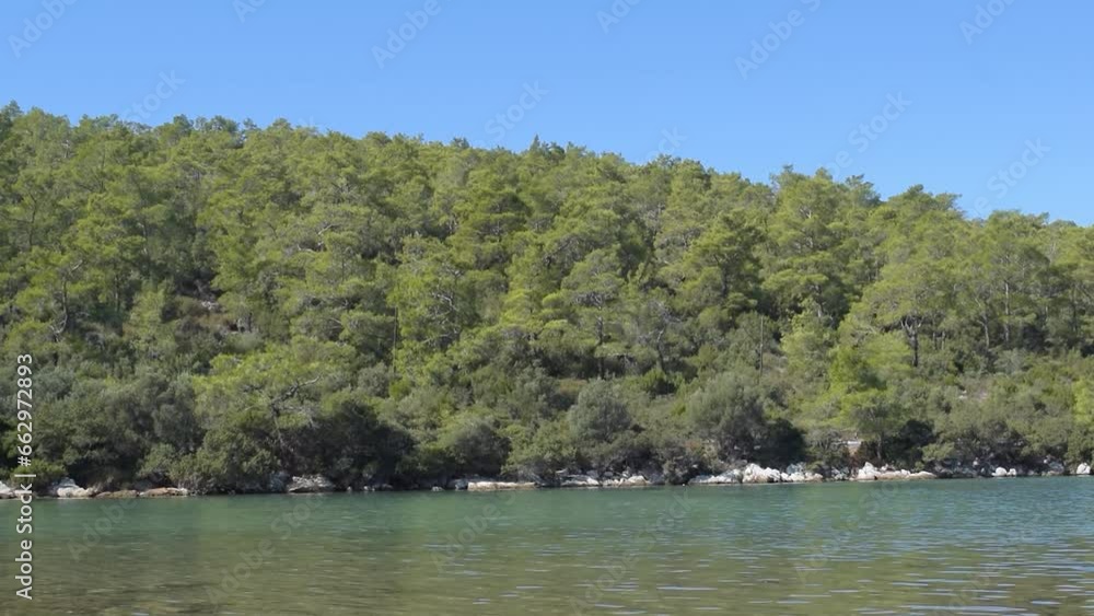 Peaceful Harbor And Great Forest Peaceful Harbor And Great Forest