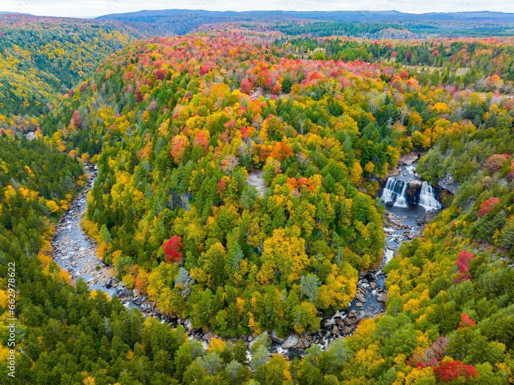 Obraz premium Aerial view of the scenic Blackwater Falls in West Virginia surrounded by fall foliage