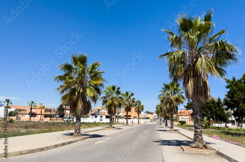 Road with palm trees on the side. Palm trees in an empty road in suburb. Asphalt road and palm tree in the morning at dawn in Almarda, Casablanca, Spain.