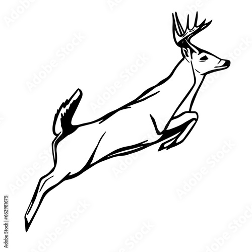 Silhouette of a deer