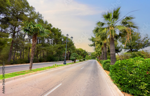 Road with palm trees on the side. Palm trees in an empty road in suburb. Asphalt road and palm tree in the morning at dawn in Los Monasterios, Spain. Road trip. © MaxSafaniuk