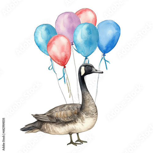 Canadian goose, standing, with party balloons watercolor illustration, isolated on transparent background