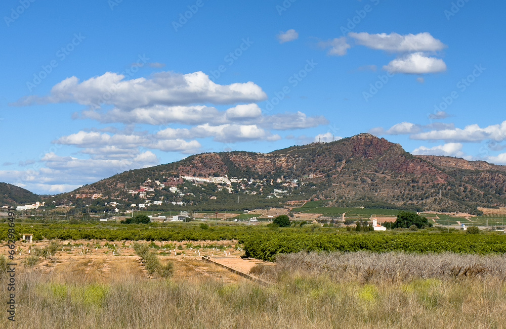 Fototapeta premium Orange citrus farm field on Mountains landscape. Blossoming Mandarin trees at farm plant. Mandarin fruit farm field. Houses on Mountain. Home on hills. House in mountains. Villa in El Picaio, Spain