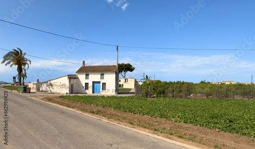 Farm field in Alboraya, L’Horta. Rural landscape. Farmhouse in Valencia. Spain vegetable farmland. Cultivation of crops in countryside. Sowing grain. Field cultivation. Soil Tillage and sowing seeds. © MaxSafaniuk