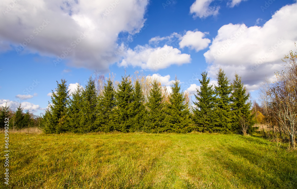 Scenic nature view. Autumn landscape in Latvia. Scenic nature view. Autumn landscape in Latvia.