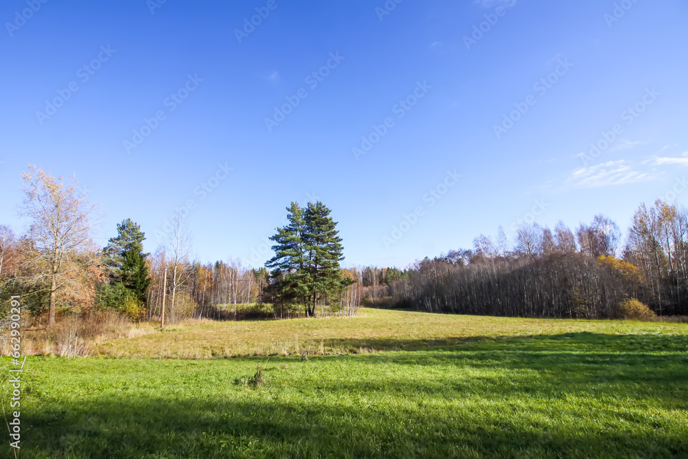 Scenic nature view. Autumn landscape in Latvia. Scenic nature view. Autumn landscape in Latvia.
