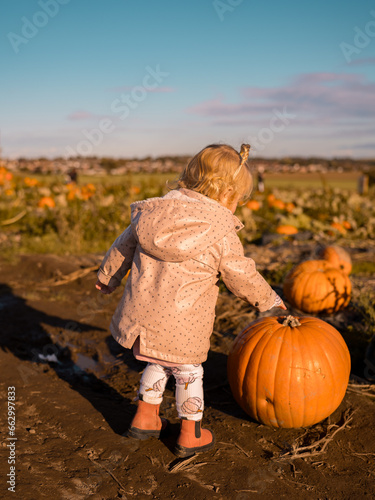 child standing on the back to the camera touching a pumpkin