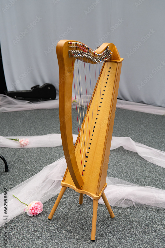 Obraz premium harp on a white background