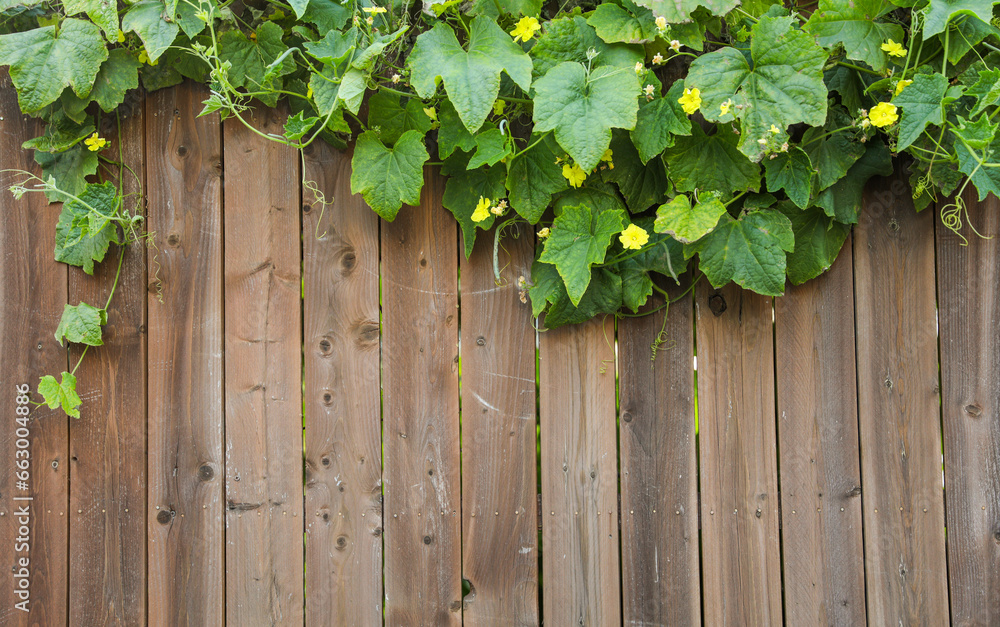 wooden fence in a serene countryside setting, bathed in warm sunlight, evoking nostalgia and the beauty of rural simplicity wooden fence in a serene countryside setting, bathed in warm sunlight, evoking nostalgia and the beauty of rural simplicity