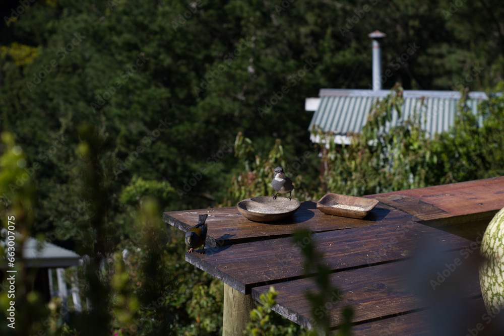 Naklejka premium Pajaros en una baranda