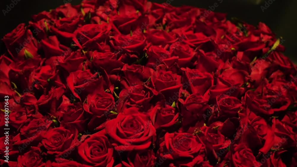 Beautiful huge bouquet of red roses, close-up. Blooming roses real treat. Wedding background, Valentine's day concept Beautiful huge bouquet of red roses, close-up. Blooming roses real treat. Wedding background, Valentine's day concept
