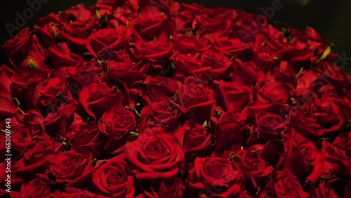 Wallpaper Mural Beautiful huge bouquet of red roses, close-up. Blooming roses real treat. Wedding background, Valentine's day concept Torontodigital.ca