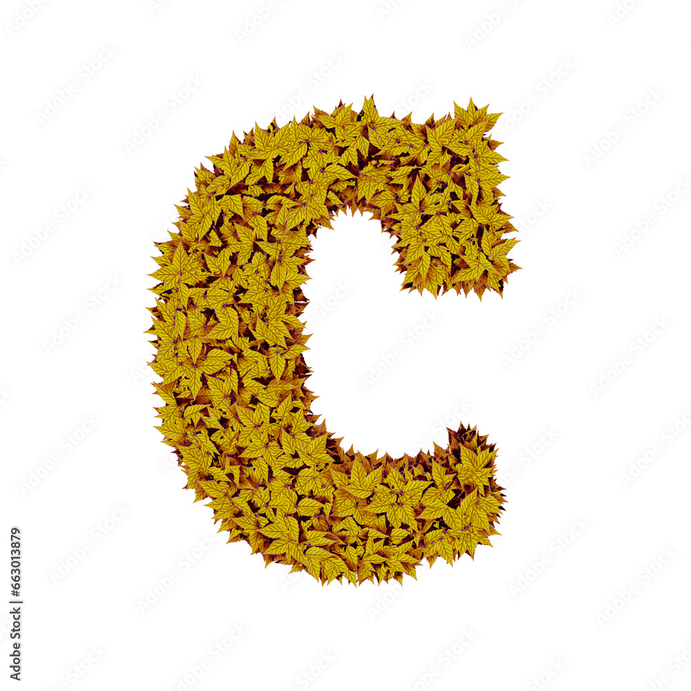 Symbol from yellow leaves. letter c