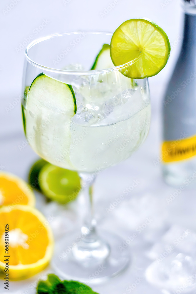 Bebida alcohólica Gin tonic con limón y pepino 