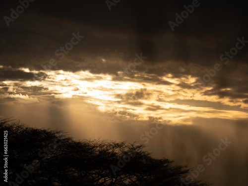 The beauty of Masai Mara