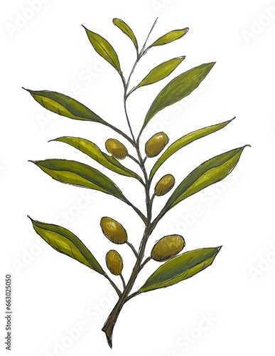 Olive Branch