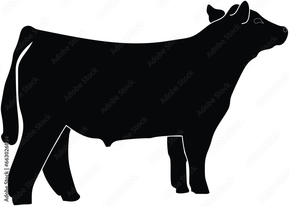 Show Steer Stock Vector Adobe Stock