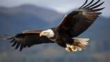 Spread wings, majestic bald eagle, mid air, talons catching fish generated by AI