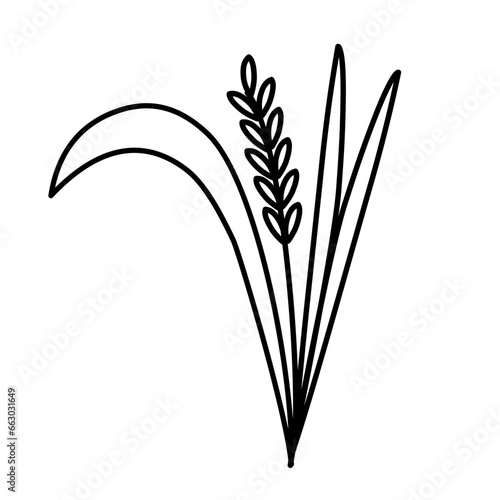 paddy line icon 
