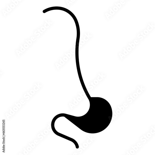Esophagus, anatomy, healthy, body, medical