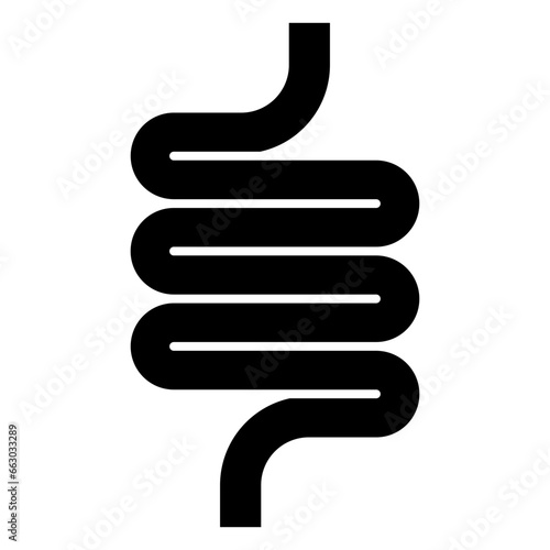 Intestines, bowel, digestion, anatomy, healthy