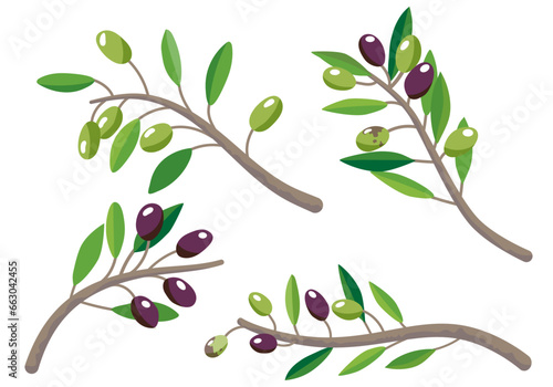 オリーブの枝の4種類セット