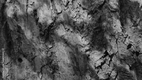 Wallpaper Mural 木の幹 Torontodigital.ca