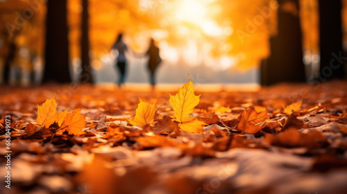 In a sunlit park  a couple walks hand in hand  stealing gentle glances  with autumn leaves surrounding them.