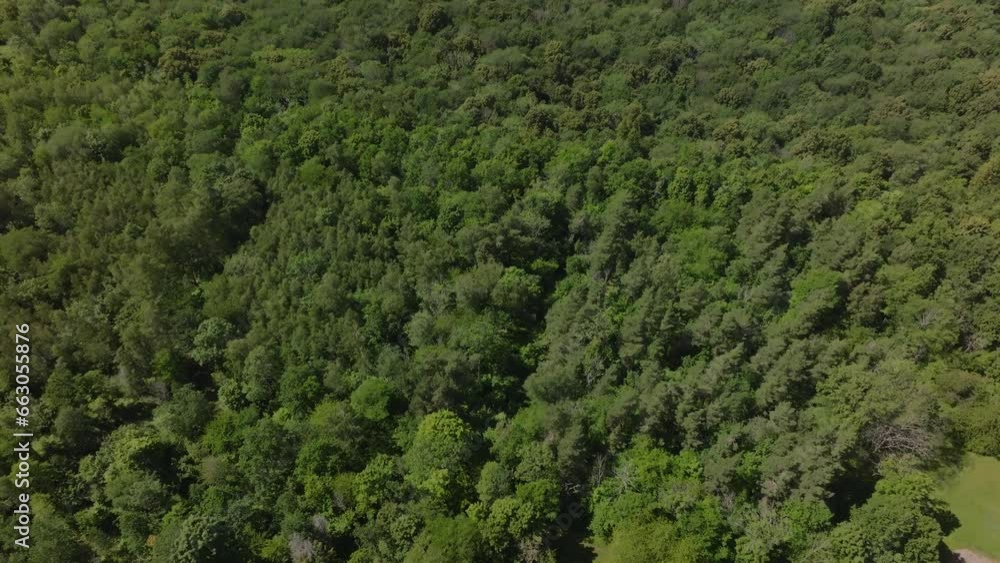 Dense Thicket Near Kinnekulle Stenbrott Quarry In Sweden. Aerial Tilt-up Dense Thicket Near Kinnekulle Stenbrott Quarry In Sweden. Aerial Tilt-up