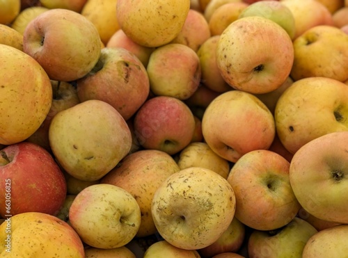 closeup of organic apples in a market