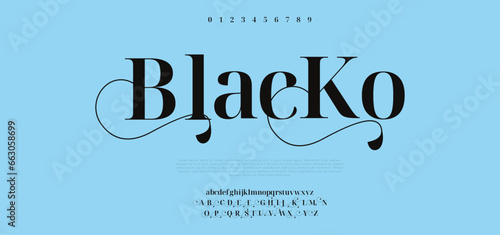 Elegant awesome alphabet letters font and number. unique serif font. Classic Lettering Minimal Fashion Designs. Typography modern serif fonts regular decorative vintage concept. vector illustration 