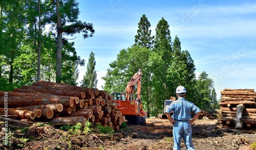 間伐作業の安全を監視する管理者