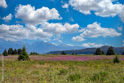 Gustavus Alaska forelands in late summer with puffy clouds. photo