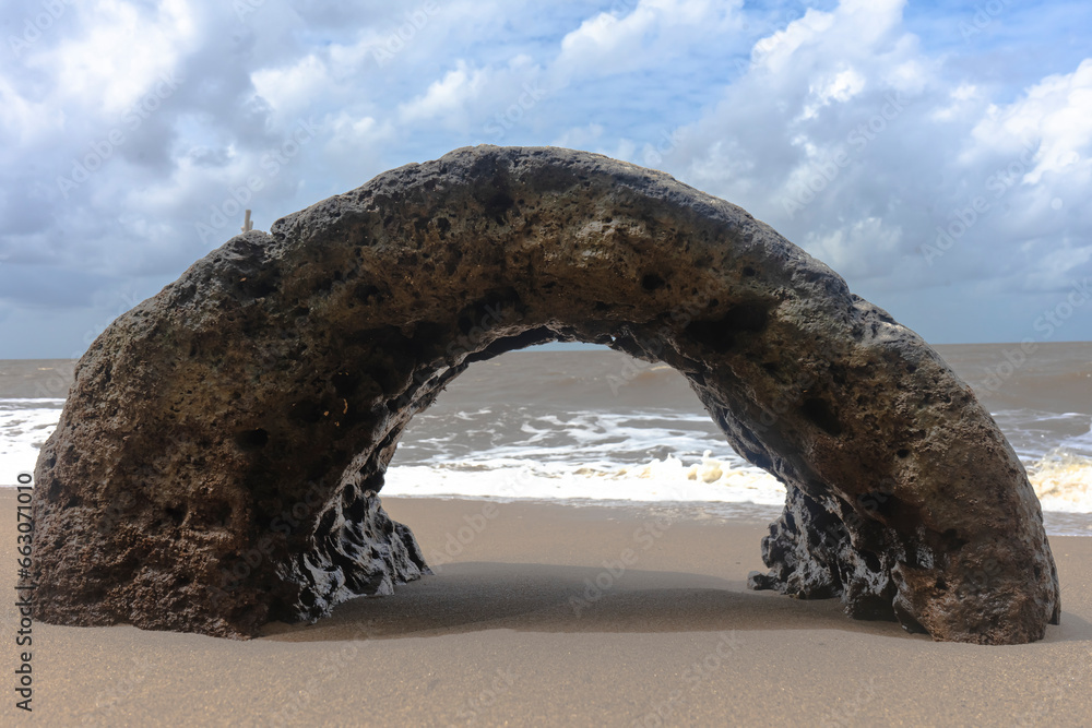 Fototapeta premium Dead coral is shaped like a dome on the beach