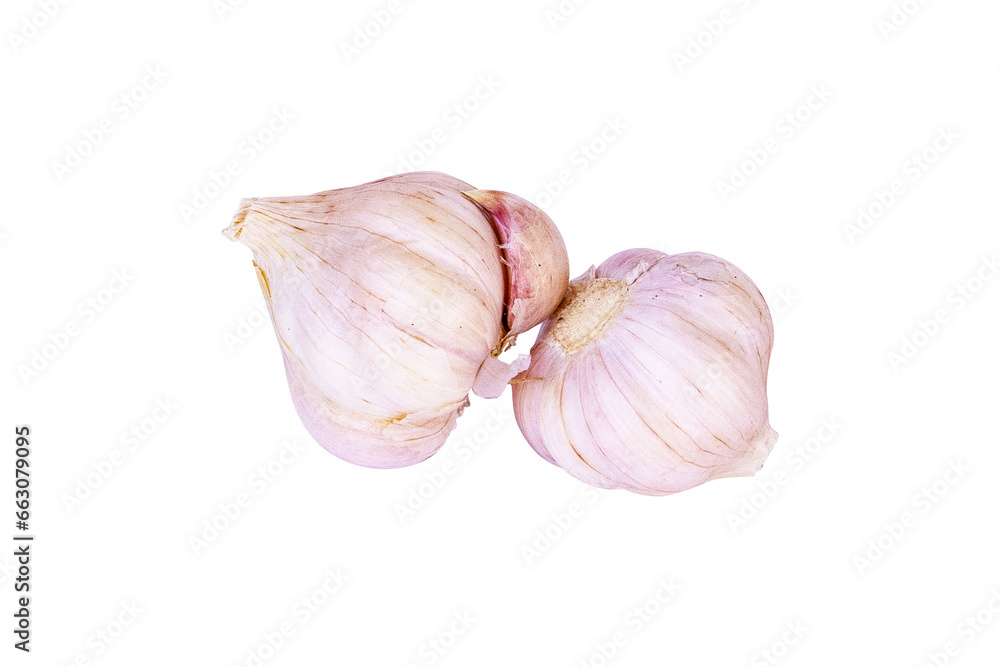 Obraz premium Garlic bulb isolated on cut out PNG. Set with clipping path. It is Thai herbal plant and a type of spice vegetable family. It is often added to many types of food. Purple garlic bulb collection.