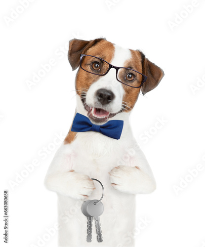 Jack russell terrier puppy wearing tie bow and eyeglasses holds in his paw keys to a new apartment. Isolated on white background © Ermolaev Alexandr