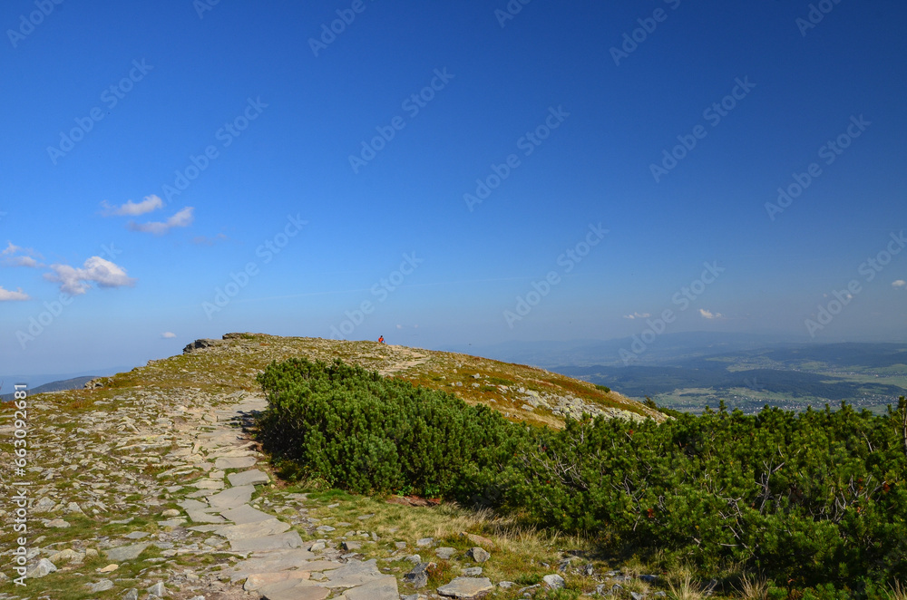 path to the sea