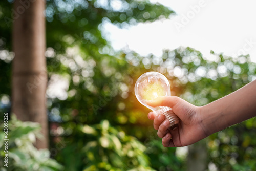 light bulb against nature, icons