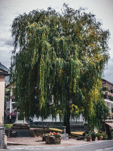 Landscape in Valle d'Aosta photo