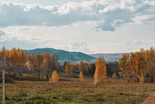 Autumn landscape with fall trees, clouds, mountains, grass