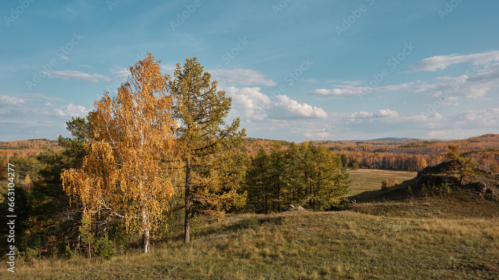 Autumn landscape with trees Autumn landscape with trees