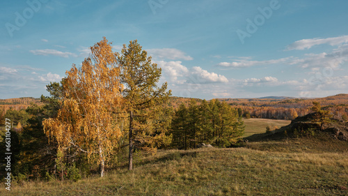 Fototapeta Naklejka Na Ścianę i Meble -  Autumn landscape with trees
