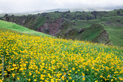 Beautiful view of Mount Elbrus and mountains , North Caucasus mountains, plateau Bermamyt