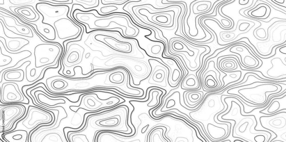 Gray topographic topo contour map background, vector illustration Gray topographic topo contour map background, vector illustration